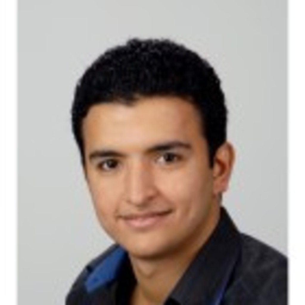 Ahmed Hussein Softwareentwickler MIC Customs Solutions XING