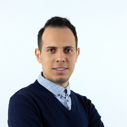 Wajdi ben Mansour