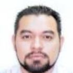 Wilfrido Manuel Martinez RIcardez