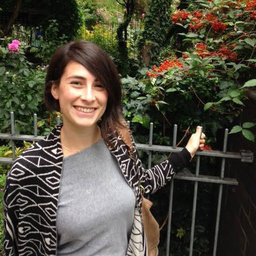 Adi Weinstein