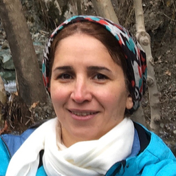 Baharak Tonekaboni