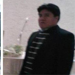 Dipl.-Ing. CESAR BENIGNO ROMAN POMAYAY