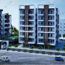 Century Liva