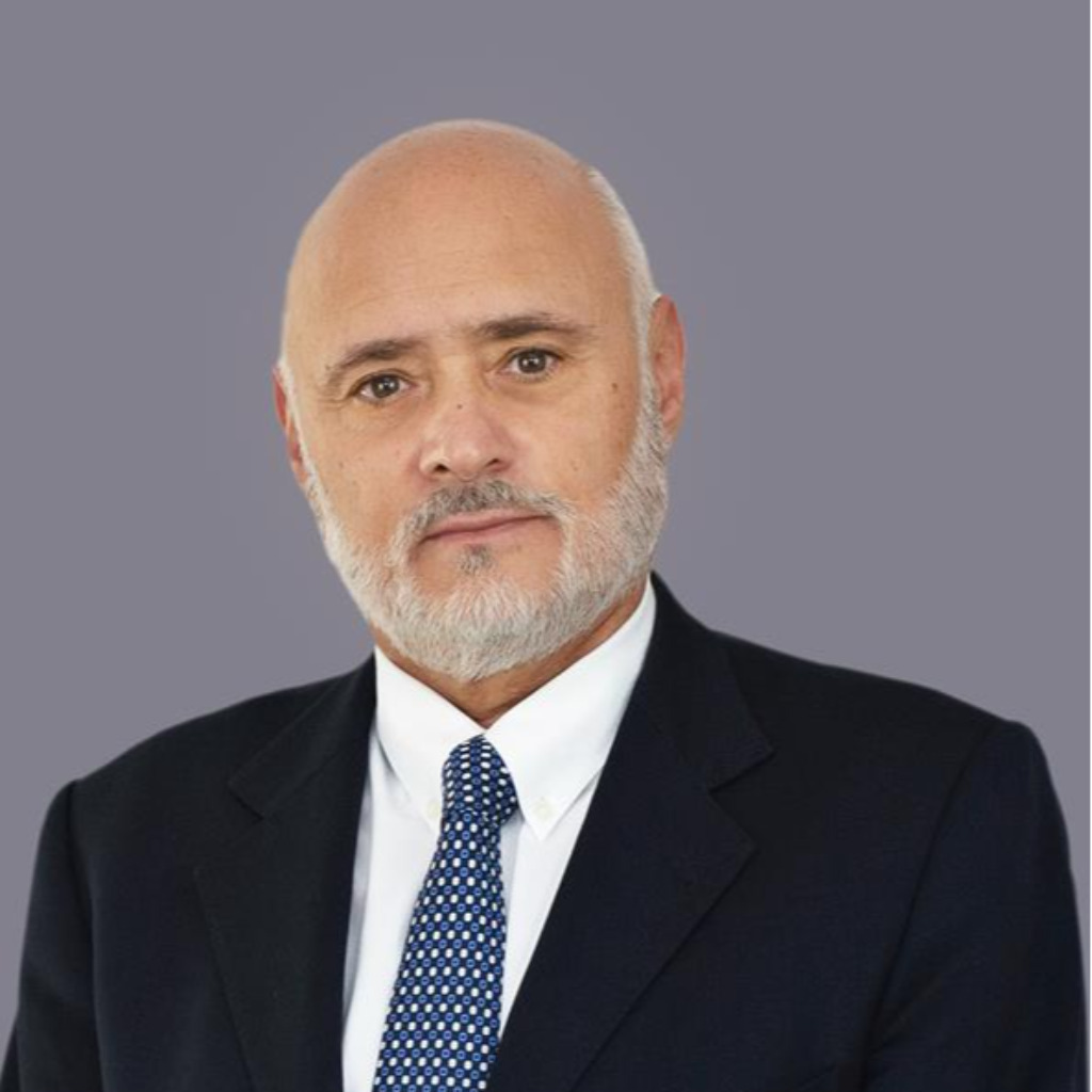 Mario Borelli Vice President Grammer XING