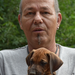 Bernd Schleipfenbauer