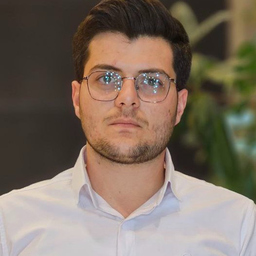 mehdi hosseini