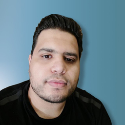 Mahmoud Elshaarawi