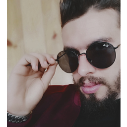 Riadh Louchem