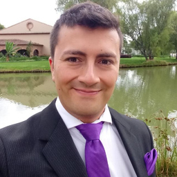 Javier Arturo Velandia Yepes