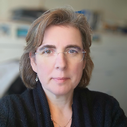 Heike Seifert