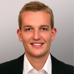 Ing. Martin Henle