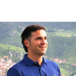Damir Hamzabegovic