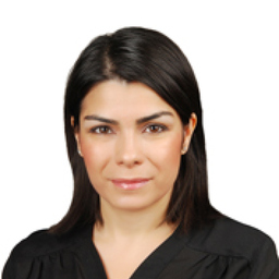 Suzan Karakivrak's profile picture