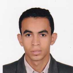 Ing. Ahmed Hassan