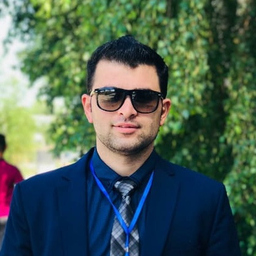 Mohammad Behrooz Mohaidinzadeh