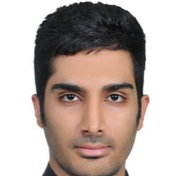 Ing. ALIREZA HASHEMI