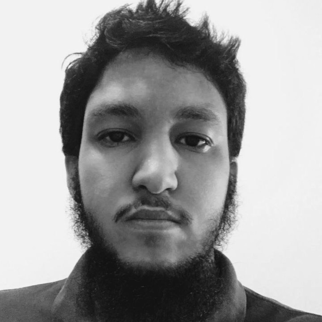 Amr Elsayed - Senior Software Engineer - Arabsstock | XING