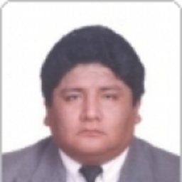 Prof. Manuel COLLAVE GONZALEZ