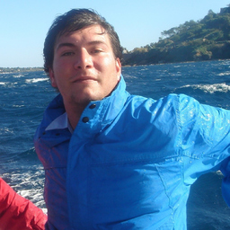 Dr. Martin Pichotka
