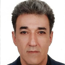 Ing. Seyedhamidreza Najafi