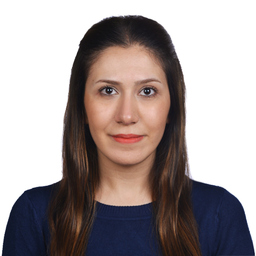 Dipl.-Ing. Mehrnaz Mehrabi