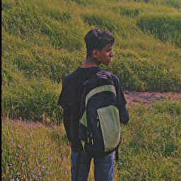 Fardeen Ansari