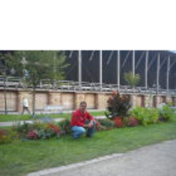 Maik Risse's profile picture