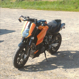 Gruenersturm Werder Bremen