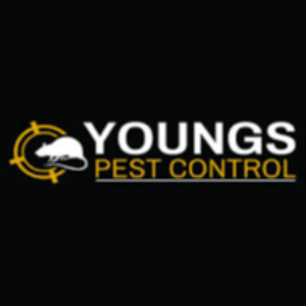 Youngs Pest Control Pest Control Service Provider Youngs Pest