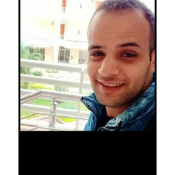 محمد سلامه