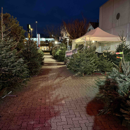 Voggensperger Bestattungen