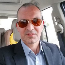 Zaid Saleh - IT Project Manager - Al Sarif | XING