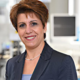 Rita Brasacchio's profile picture