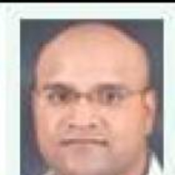 Nikhil Ambekar's profile picture