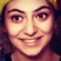 parisa hendi