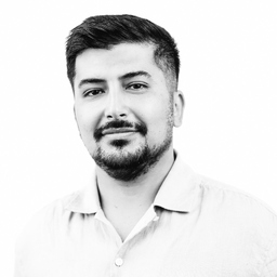 Morteza Amiri