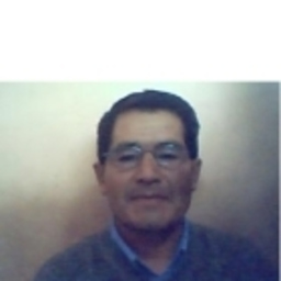 Manuel Alejandro Vivanco Torres