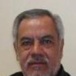 Raymundo Motolinia Medina