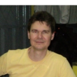 Flavio Alexandre Santos