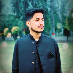 Hassan Rafique