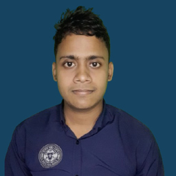 Md Labib Hasan Limon