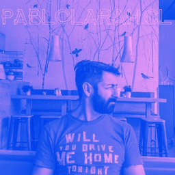 Pablo Lara H.