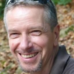 Hans Wermelinger