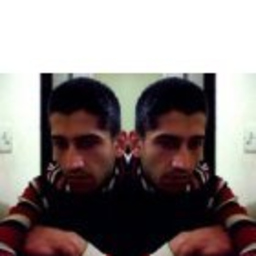 Mehmet Inal