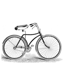 Via Bici
