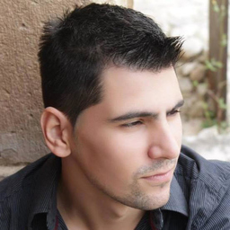 Michel Martins