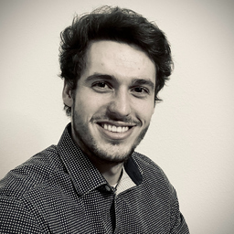 Lukas van der Veen