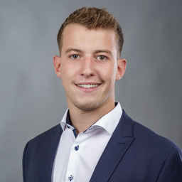 Chris Stegemann Werkstudent Basf Xing