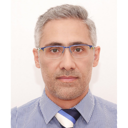Profilbild Mahdi Ahangarianabhari