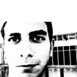 josue flores